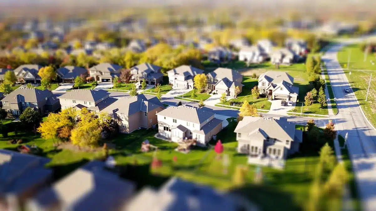 immobilier  économie