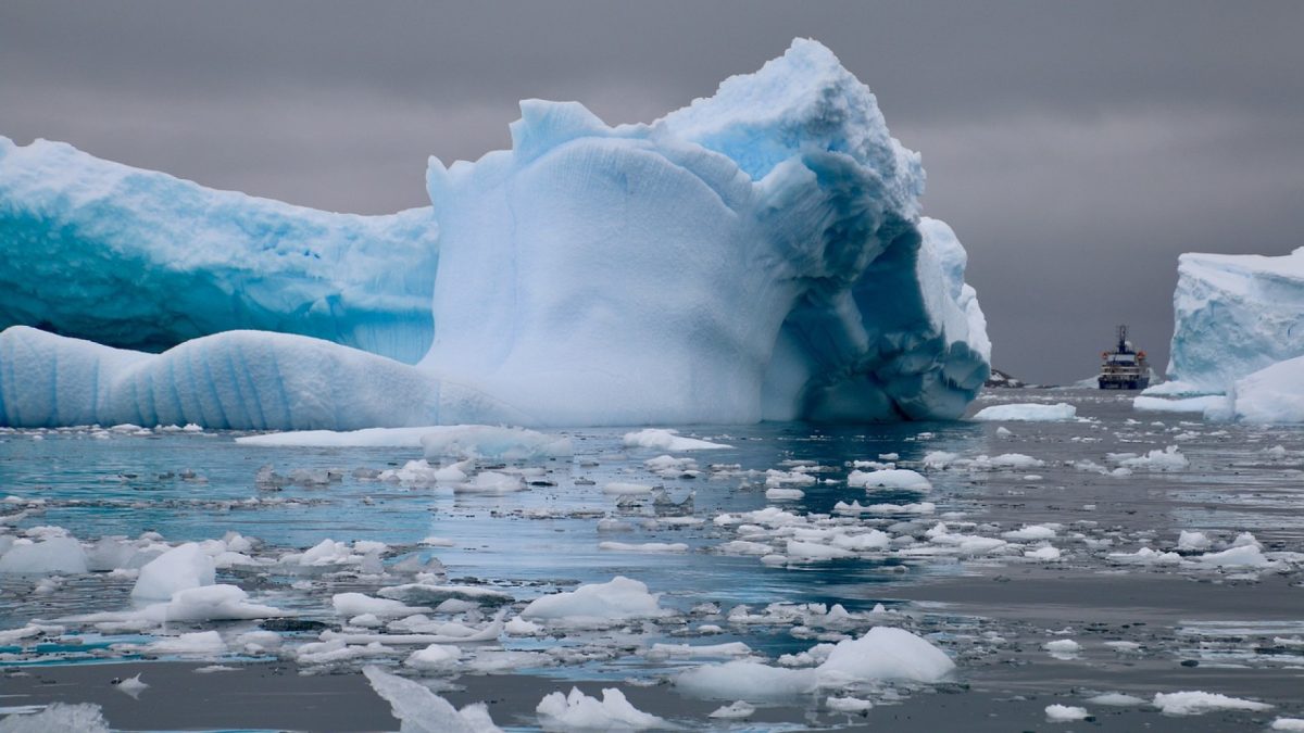 Plongée au cœur de l’aventure polaire avec une croisière en antarctique